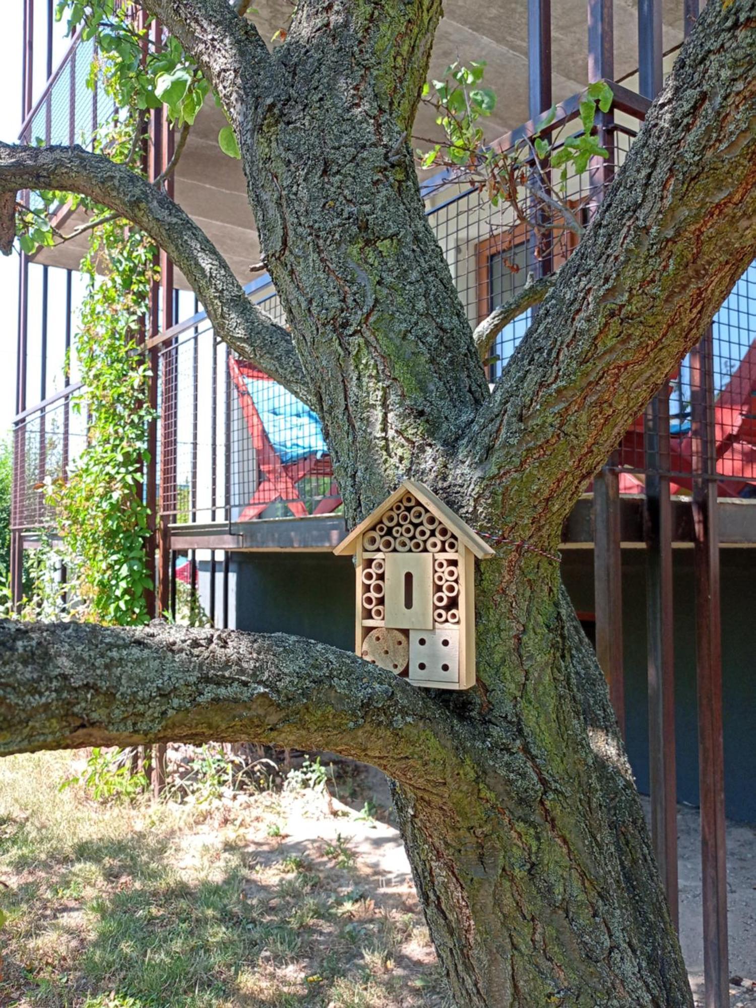 Vila Vekose - Apartman S Terasou A Zahradou Hradec Králové Kültér fotó